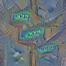 n06794110